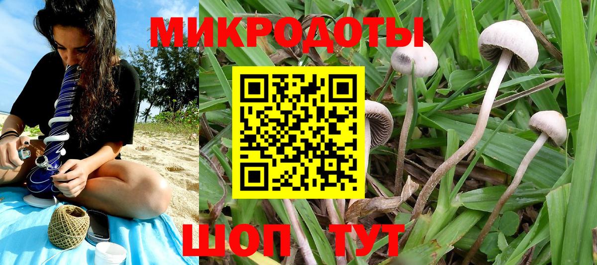Галлюциногенные грибы MAGIC MUSHROOMS  Вход с VPN  Севастополь 